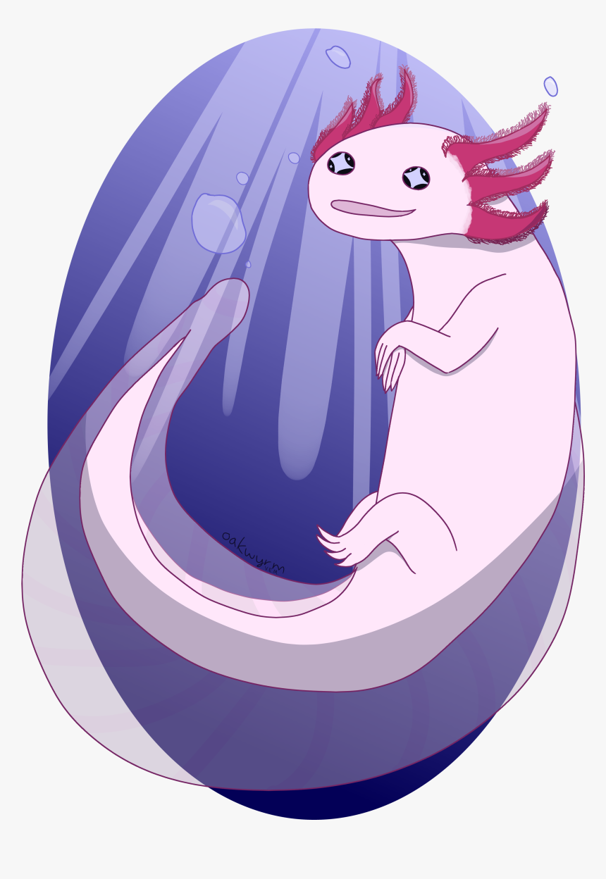 Axolotl Png, Transparent Png, Free Download