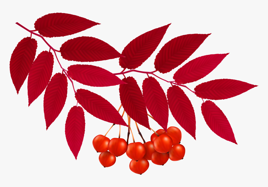 Transparent Fall Leaves Clipart Png - Leaves Red Png Transparent, Png Download, Free Download