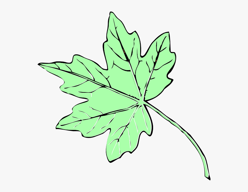 Light Green Maple Leaf Clip Art - Fall Leaves Clip Art, HD Png Download, Free Download