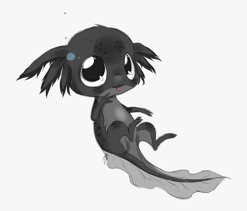 Transparent Sketch Clipart Black Cute Drawing Axolotl Hd Png Download Kindpng