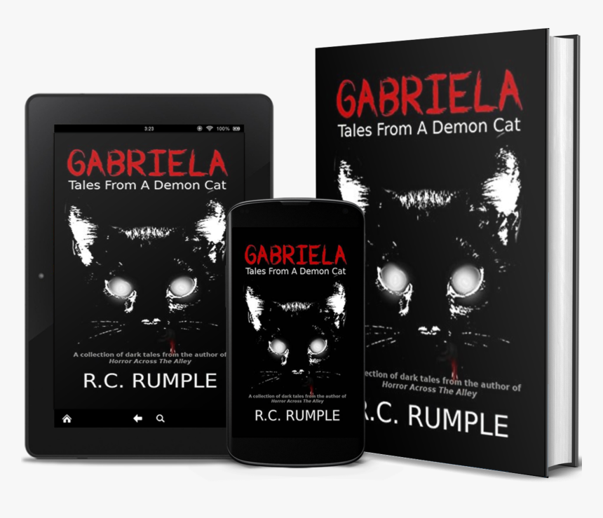 Gabriela5 - Graphic Design, HD Png Download, Free Download