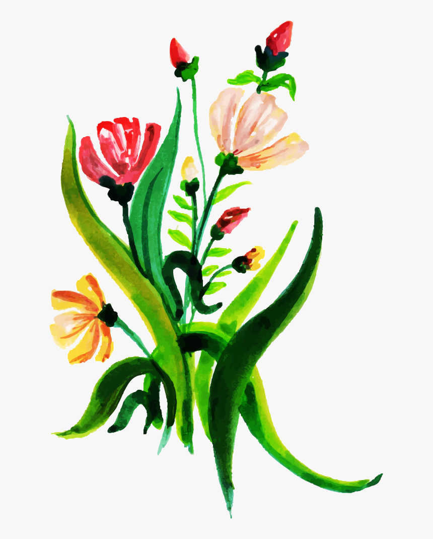 Tulip, HD Png Download, Free Download