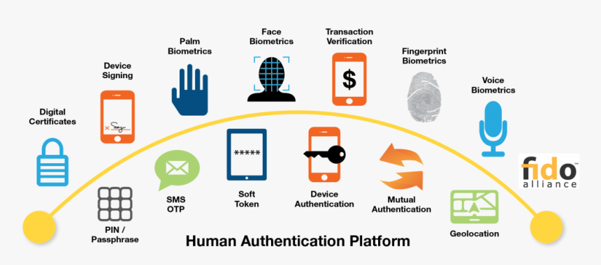 Identityx - Biometric Authentication Methods, HD Png Download, Free Download
