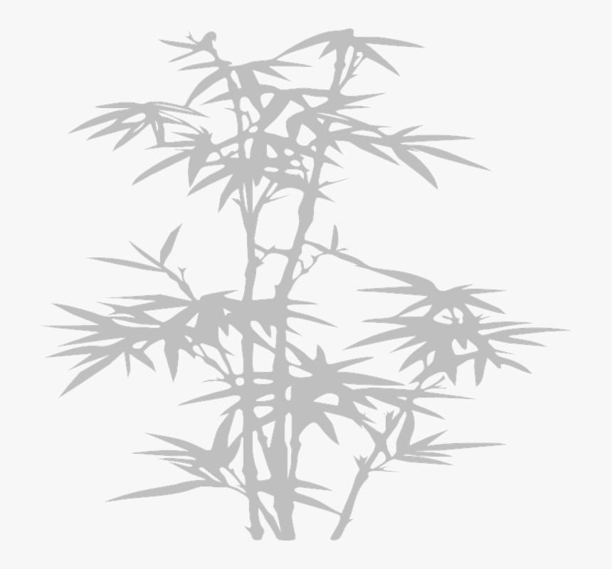 Bamboo, Tree, Grey, Plant, China, Leaves, Silhouette - Bamboo Silhouette Vector Hd, HD Png Download, Free Download