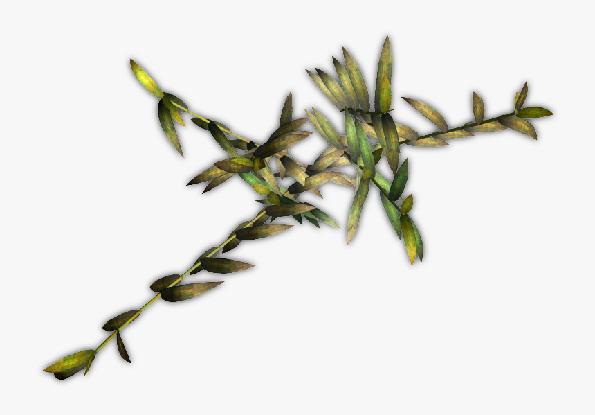 Twig, HD Png Download, Free Download