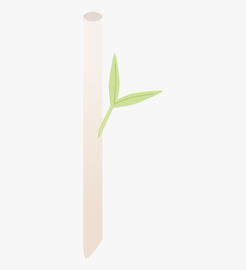 Bamboo Straw - Floral Design, HD Png Download, Free Download