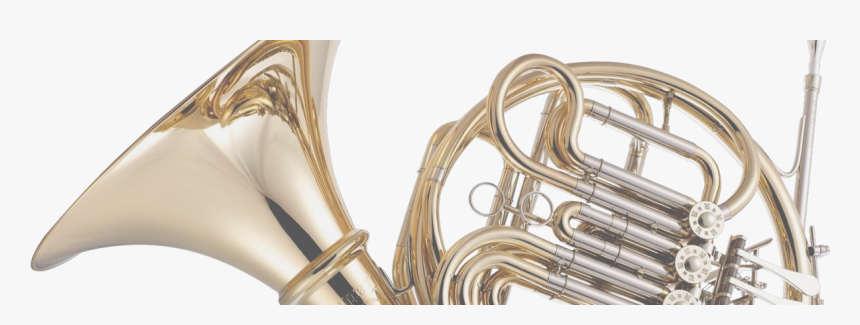 Run By Musicians, For Musicians Worldwide - Sousaphone, HD Png Download, Free Download