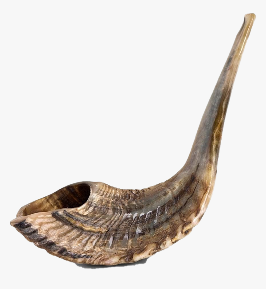 Shofar Transparent Png - Shofar, Png Download, Free Download