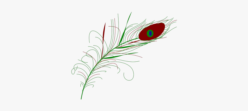 Vector Art Clipart Peacock Feather - Drawing, HD Png Download, Free Download