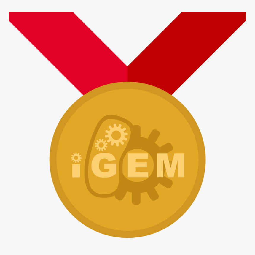 Team Bostonu Hw Igem - Gold Medal Igem, HD Png Download, Free Download