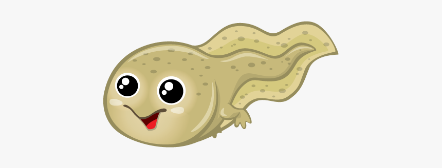 Tadpole Art Transparent, HD Png Download, Free Download