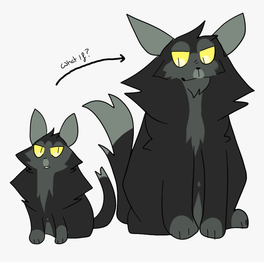 Tadpole And His Grown Up Au Design I Like To Think - Warrior Cats Au Designs, HD Png Download, Free Download