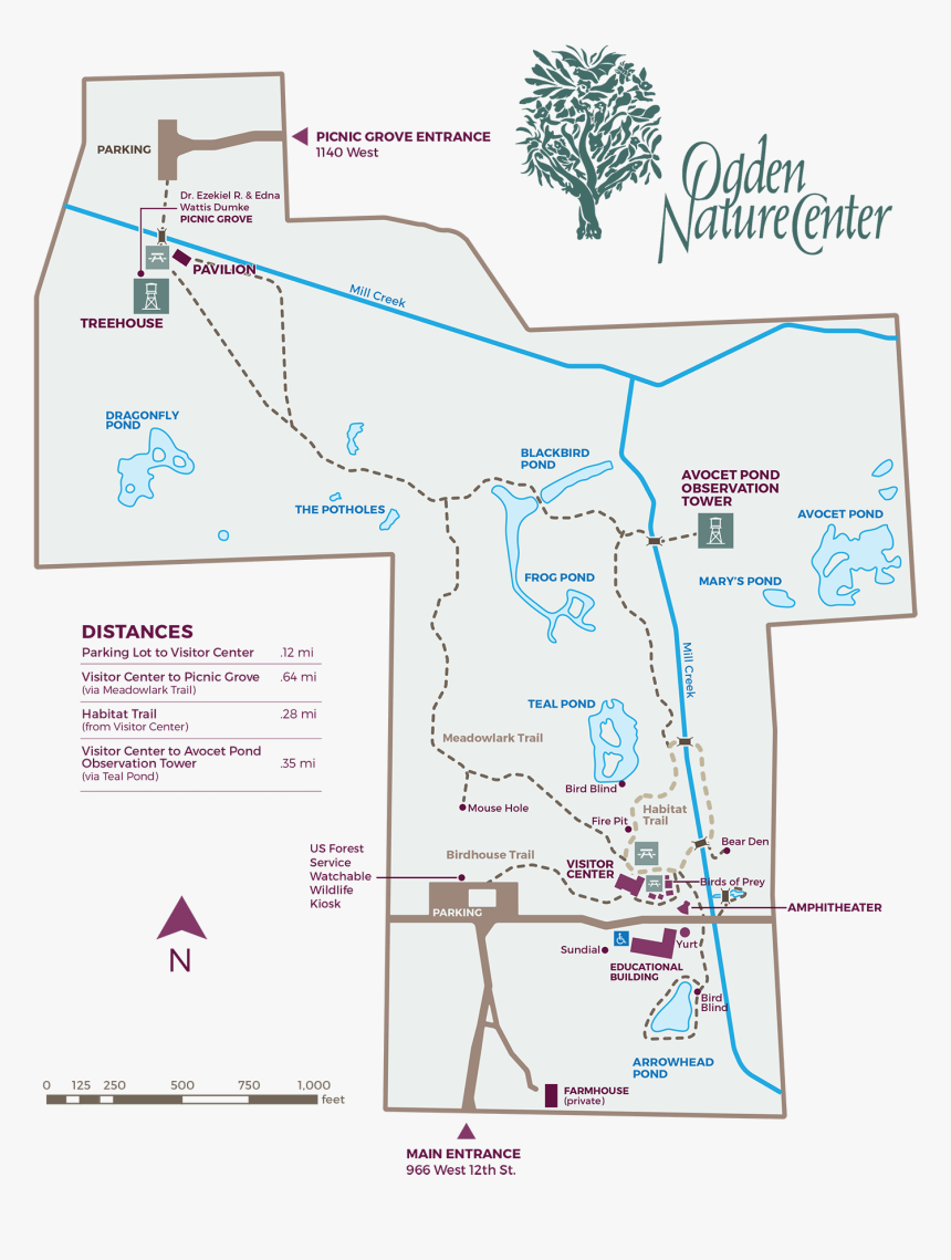 Diagram, HD Png Download, Free Download