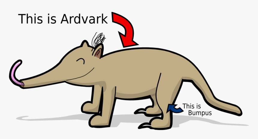 Ardvark The Aardvark Original - Whats An Aardvark, HD Png Download, Free Download