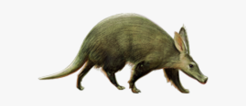 Aardvark Background Png Image - Aardvark Transparent, Png Download, Free Download