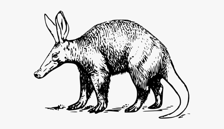 Aardvark Cartoon Png Transparent Images - Aardvark Png Clipart, Png Download, Free Download