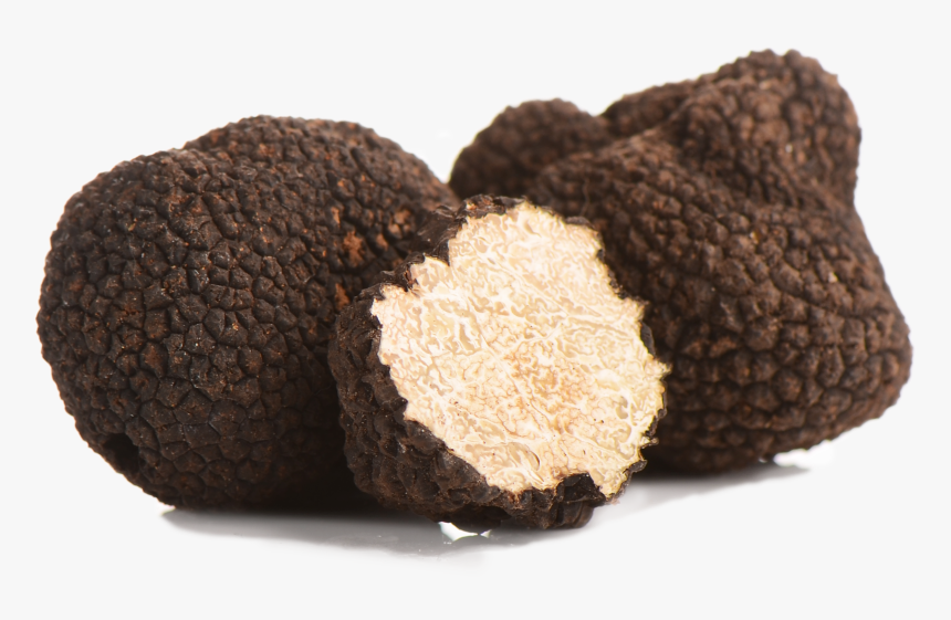 Black Truffle Transparent, HD Png Download, Free Download