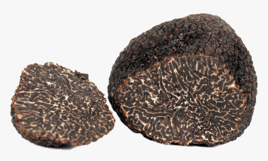 Sliced Truffle - French Perigord Black Truffle, HD Png Download, Free Download