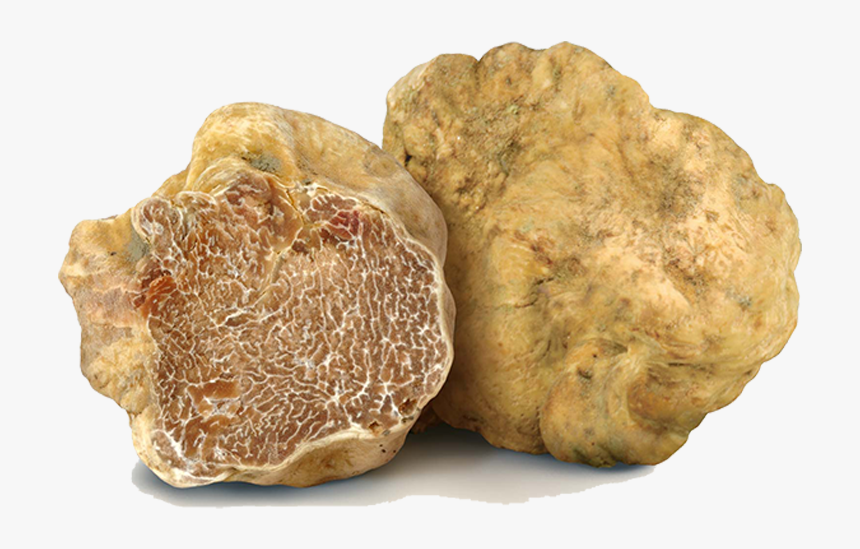 Il Tartufeltro, Tartufi Del Montefeltro Di Alta Qualità - Fresh White Alba Truffle, HD Png Download, Free Download