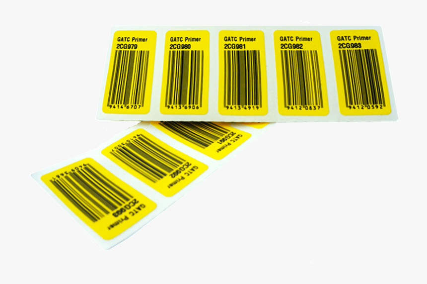 Tool, HD Png Download, Free Download