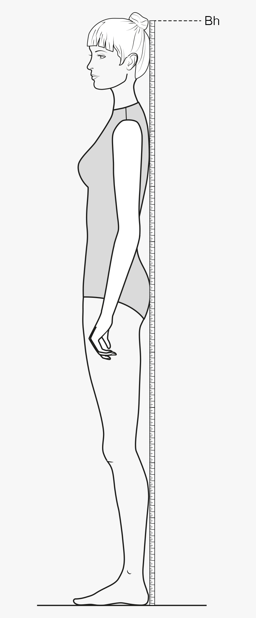 This Figure Shows The Measurement Of The Body Height - Figure Drawing, HD Png Download, Free Download