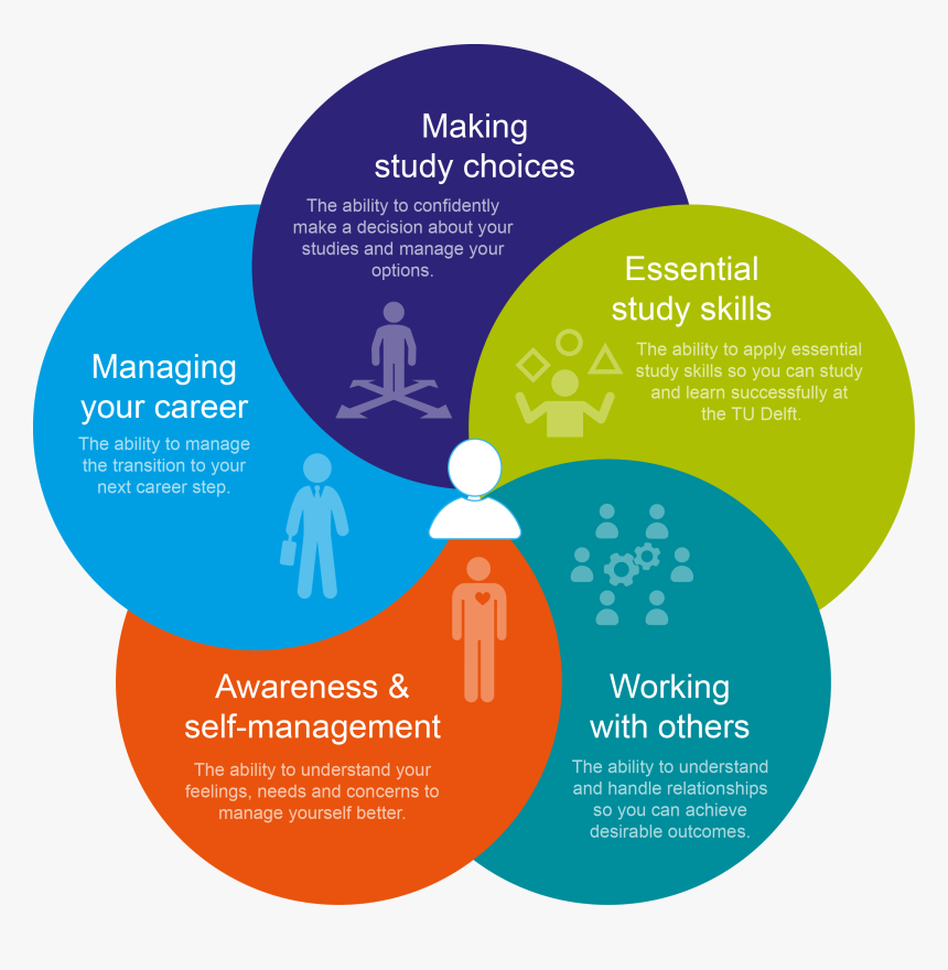 Management Counselling, HD Png Download, Free Download