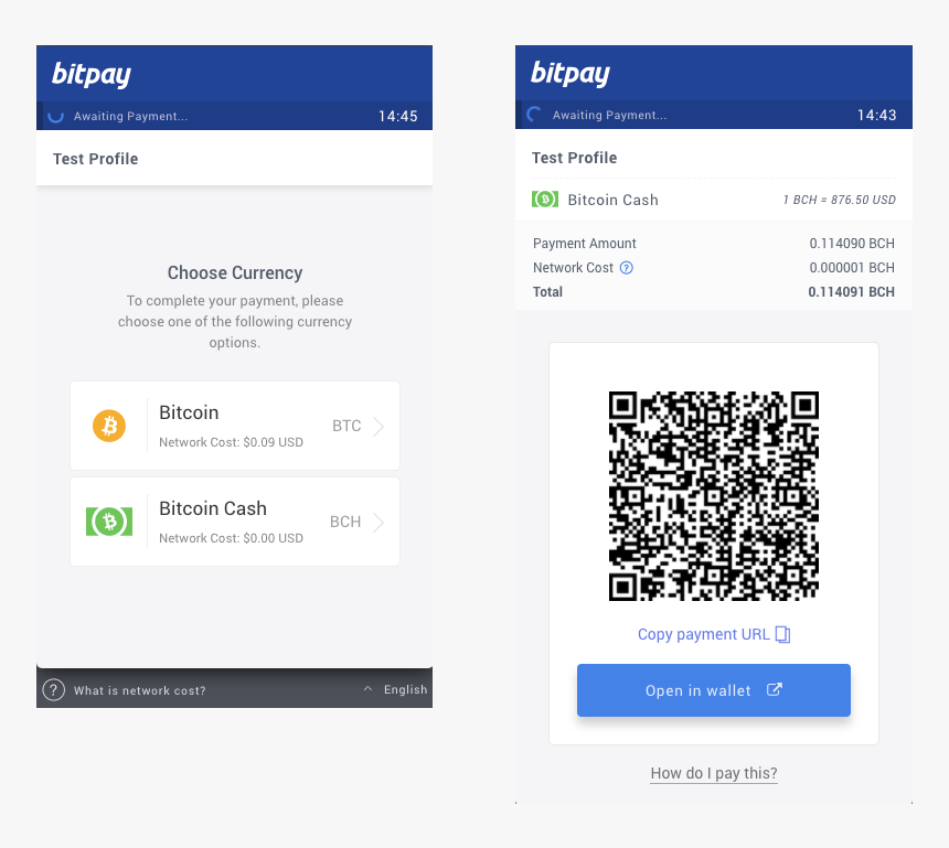 Bitpay Bch, HD Png Download, Free Download