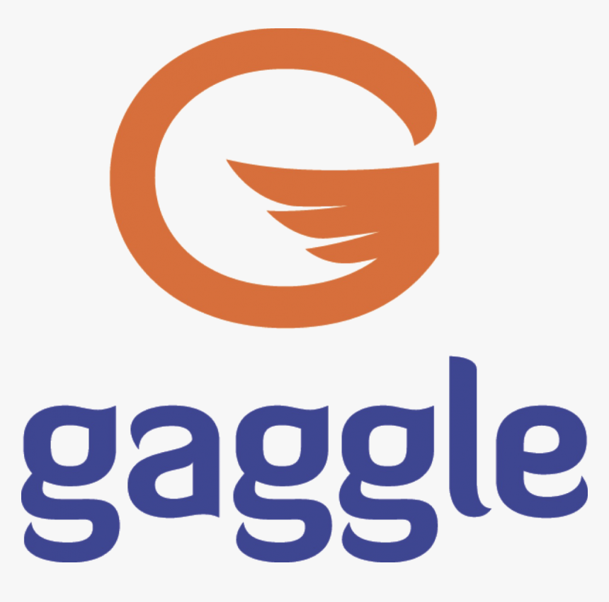 Gaggle Net Logo, HD Png Download, Free Download