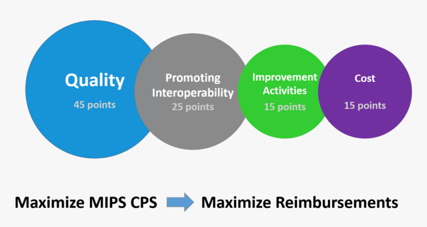 2019 Mips Categories With Tag - Circle, HD Png Download, Free Download