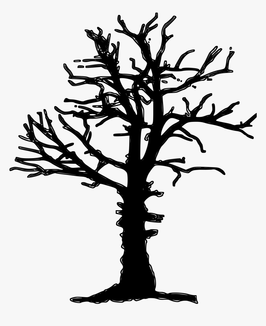 Forest Dieback Forest Decline Tree Free Photo - Dead Tree Silhouette Png, Transparent Png, Free Download