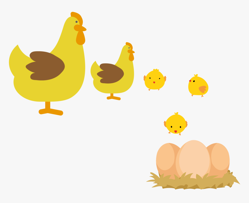 Amarela Rooster Hen - Galinha Com Pintinhos Png, Transparent Png, Free Download