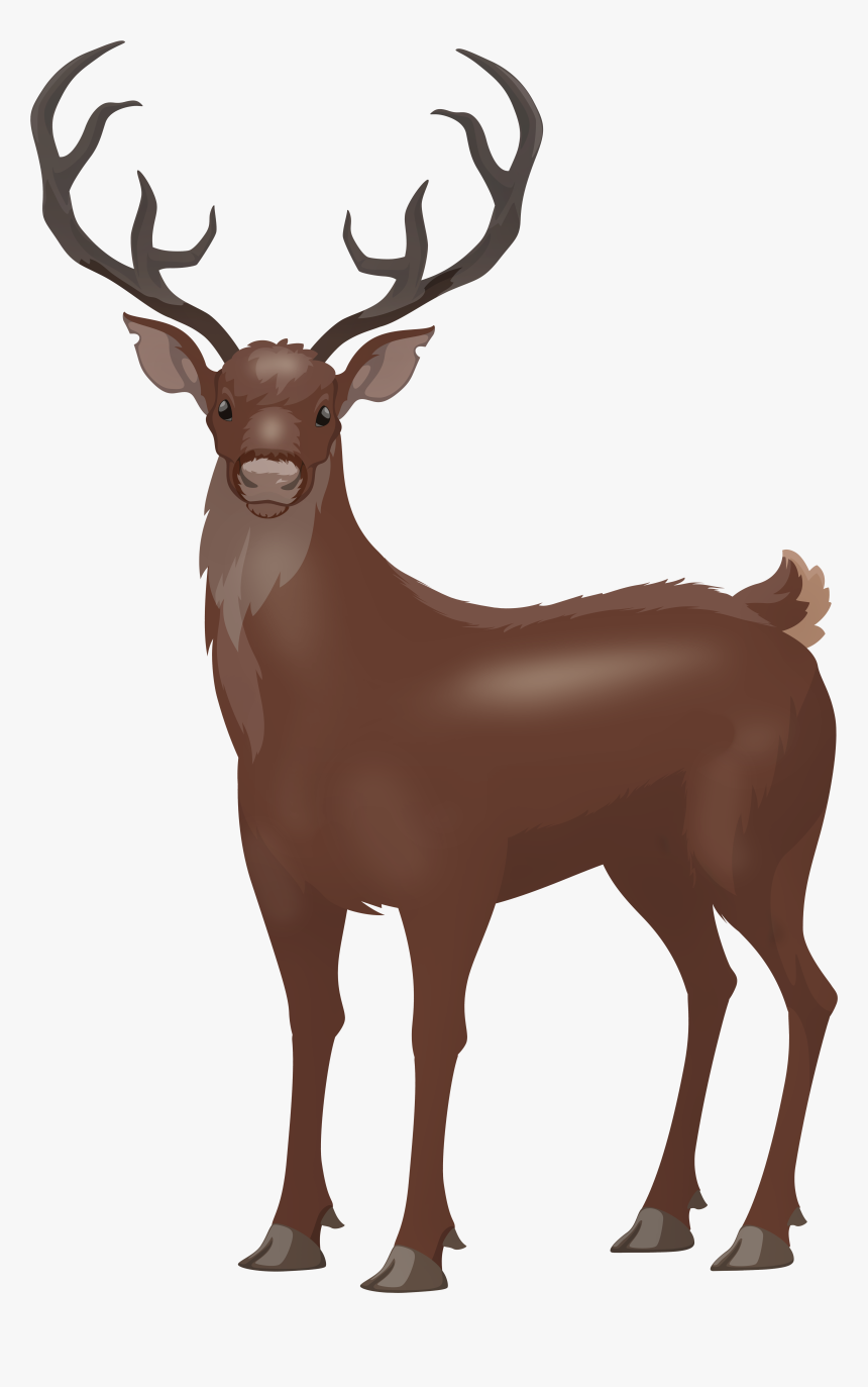 Red Deer Png, Transparent Png, Free Download