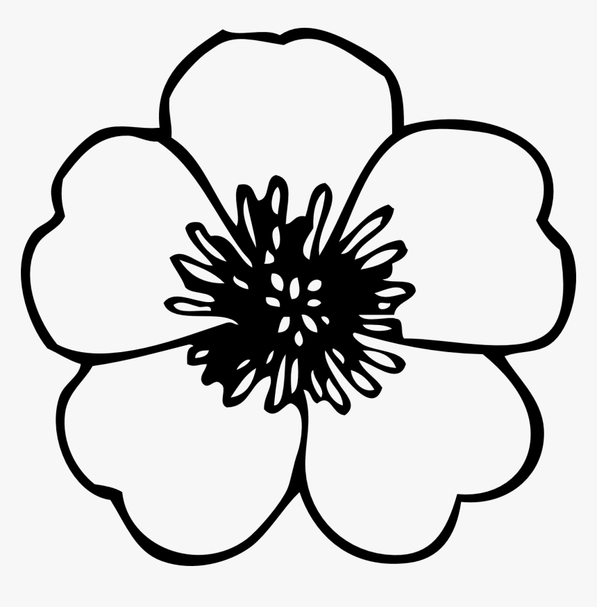 Simple Flower Clipart Black And White - Poppies Black And White, HD Png Download, Free Download