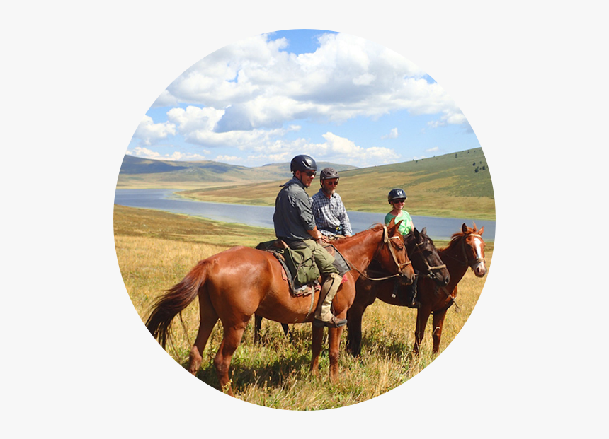 Horse Riding Holidays In Kazakhstan - Stallion, HD Png Download, Free Download