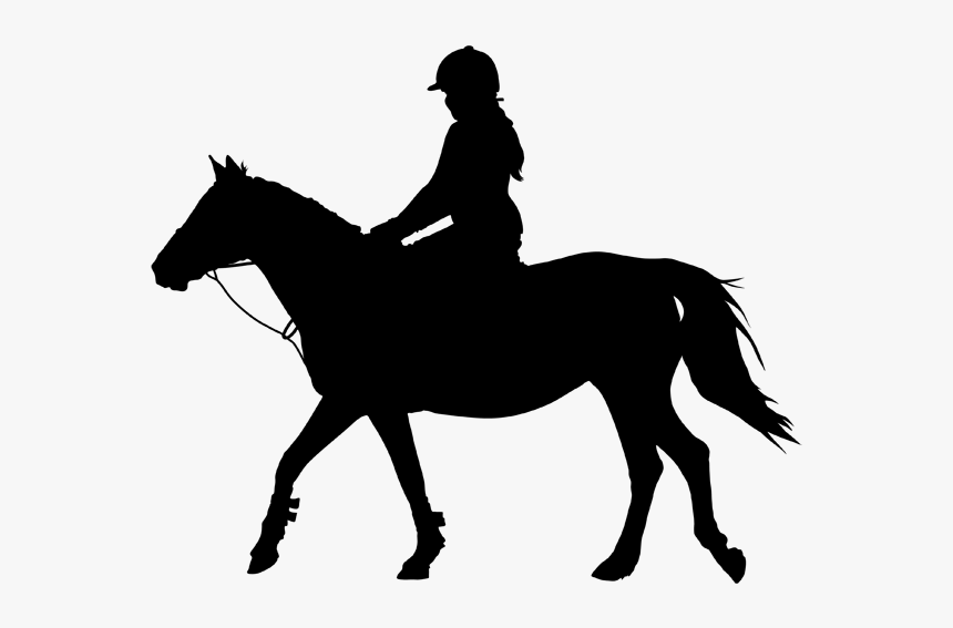 Horse&rider Equestrian Silhouette Clip Art - Horse Back Riding Clip Art, HD Png Download, Free Download