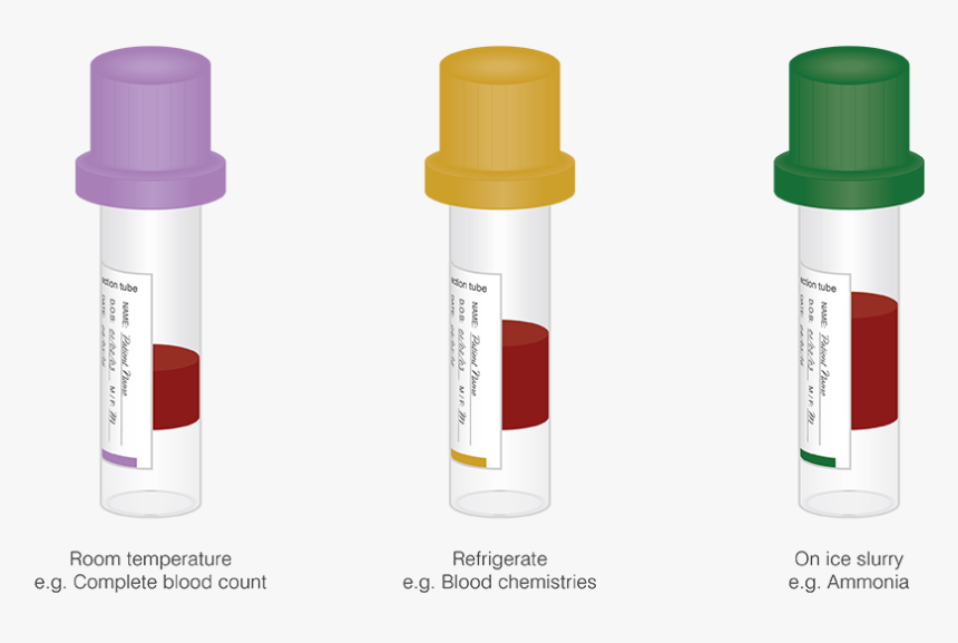 Always Consult Institutional Guidelines For Storage - Capillary Blood Specimen, HD Png Download, Free Download