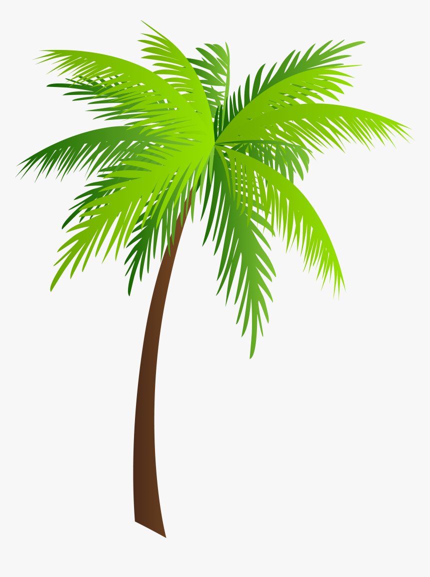 Clip Art Png Clip Art Image - Palm Clipart, Transparent Png, Free Download