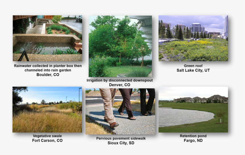 Green Infrastructure In Cities Across The United States - Tree, HD Png Download, Free Download