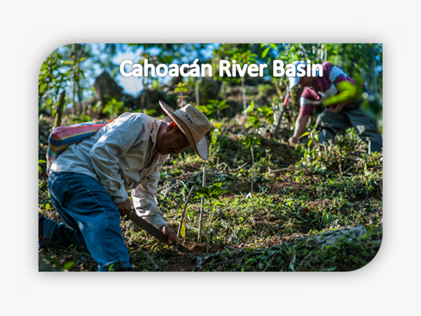 Iucn - Farmworker, HD Png Download, Free Download