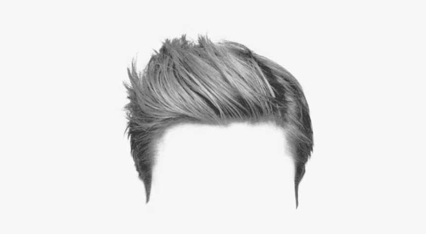 Hair Wig Png - Men Hair Png, Transparent Png, Free Download