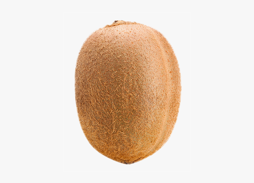 Kiwifruit, HD Png Download, Free Download