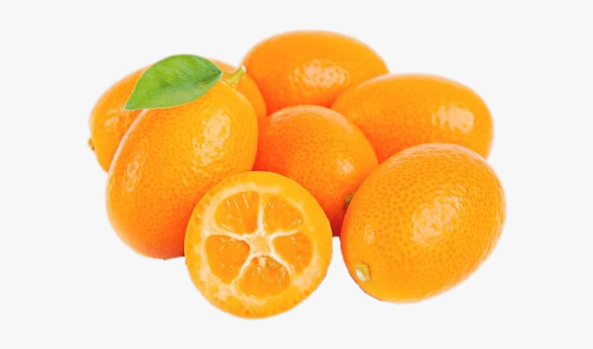 Fresh Kumquat - Kumquat Png Transparent, Png Download, Free Download