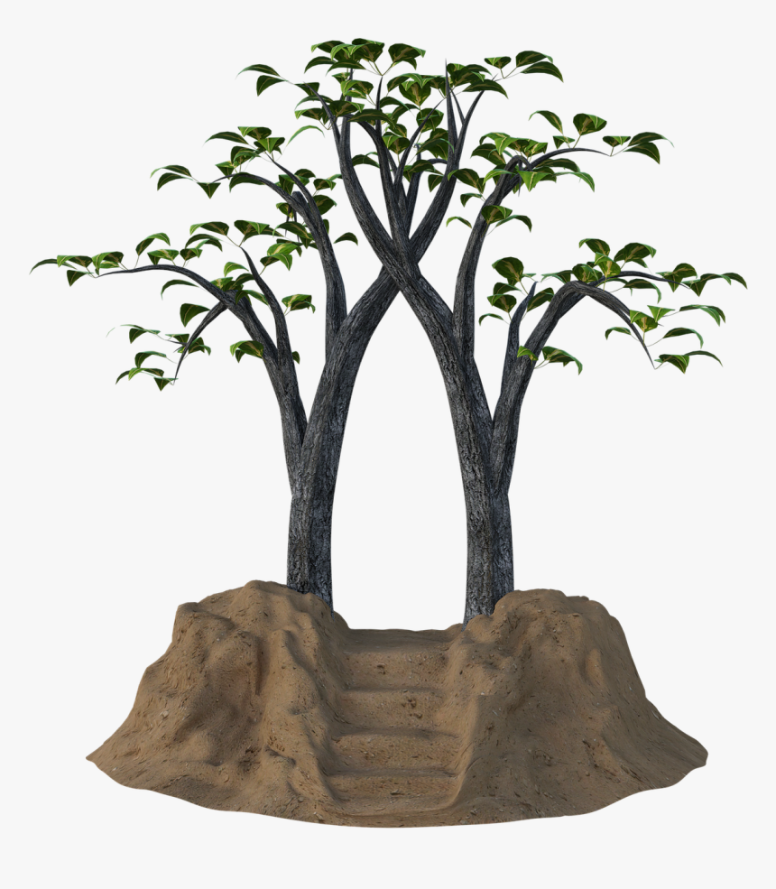 Portal, Fantasy, Trees, Sand, 3d, Render, Mystical - Houseplant, HD Png Download, Free Download