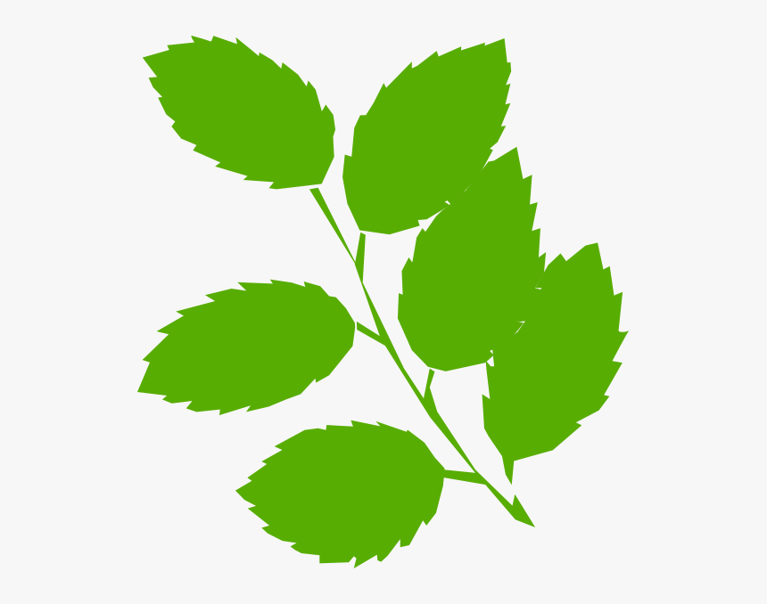 Clip Art Green Leaves, HD Png Download, Free Download