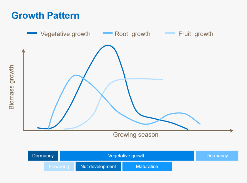 Diagram, HD Png Download, Free Download