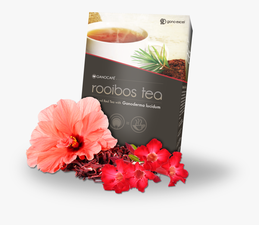 Rooibos Tea Gano Excel, HD Png Download, Free Download