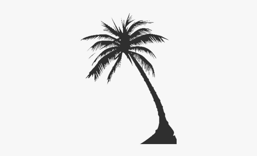 Palm Tree Silhouette Png - Vector Palm Tree Png, Transparent Png, Free Download