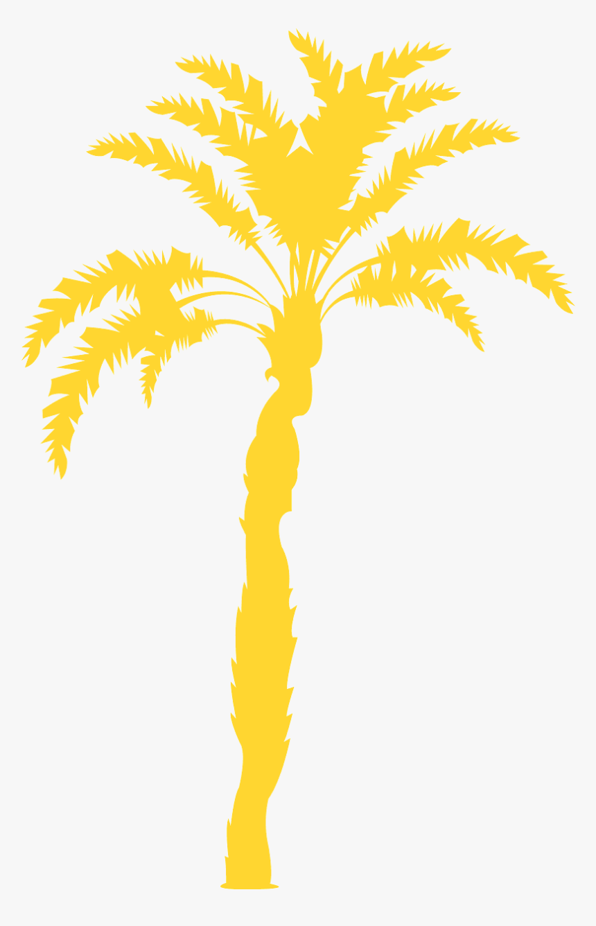 Palm Tree, HD Png Download, Free Download