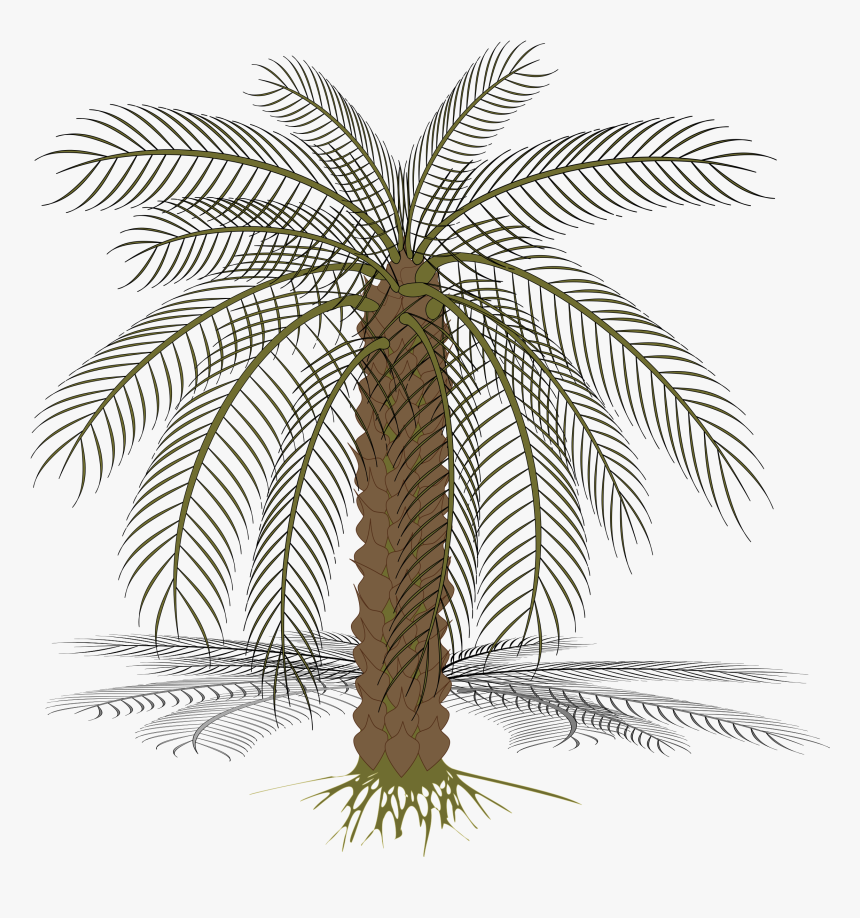 Palm-02 Clip Arts - Pohon Kurma Vector, HD Png Download, Free Download