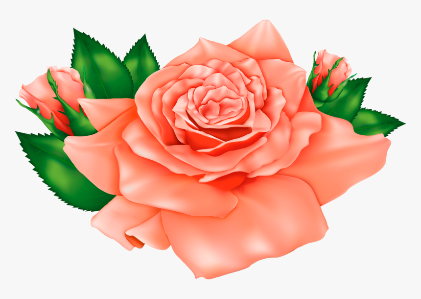 Transparent Beautiful Flower Clipart - Cute Red Roses Cartoon, HD Png Download, Free Download